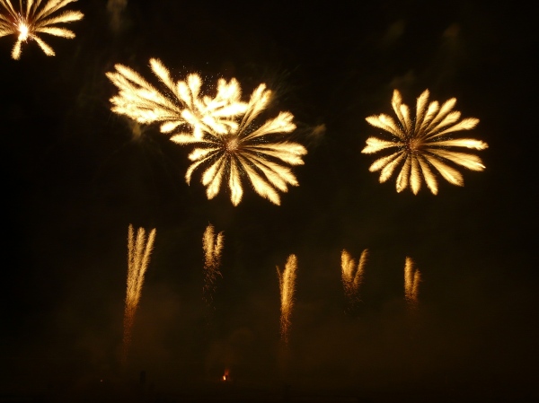 Feuerwerk Frankreich II   093.jpg